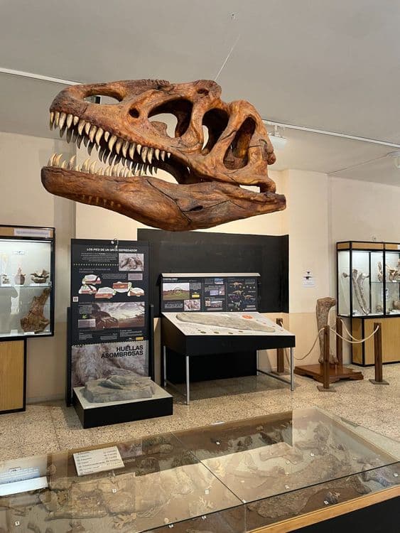 Galeria