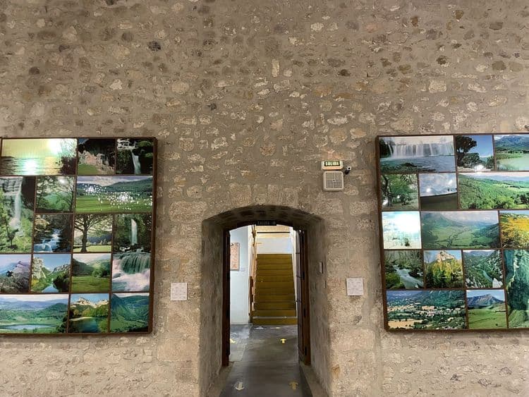 Galeria