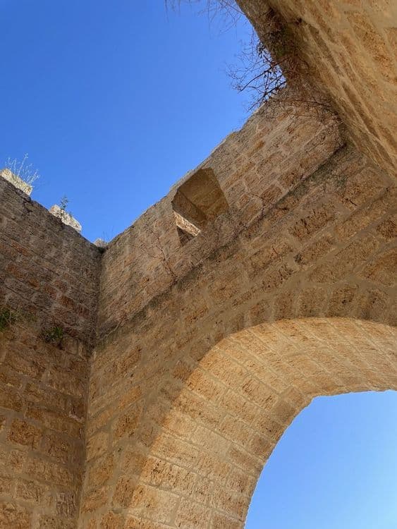 Galeria