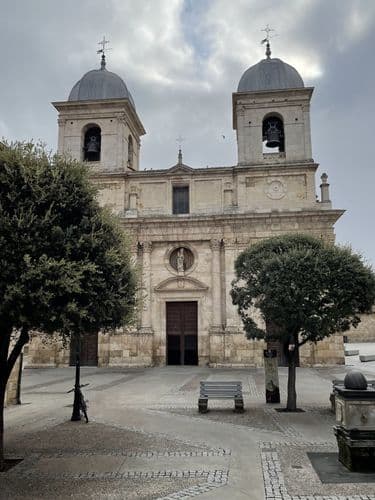 Excolegiata de Santa María la Mayor