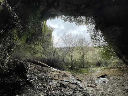 Cuevas del Piscarciano y de Vacas
