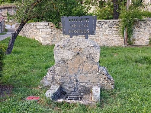 Fuente de los Fósiles