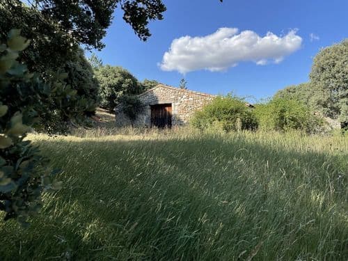 Centro de interpretación Las Loberas