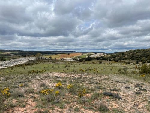 Yacimiento Valdepalazuelos-Tenadas del Carrascal
