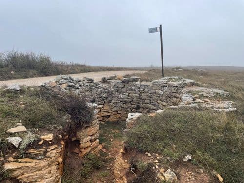 Nido de ametralladoras